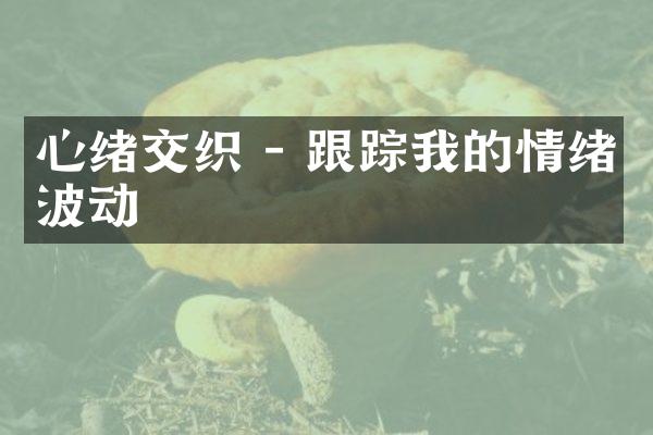心绪交织 - 我的情绪波动