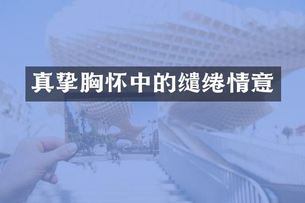 真挚胸怀中的缱绻情意