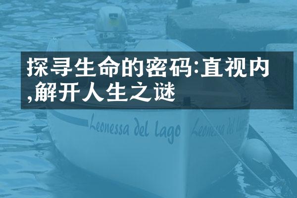 探寻生命的密码:直视内心,解开人生之谜