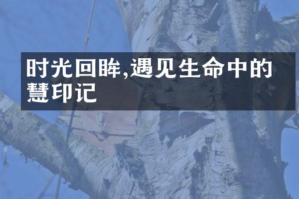 时光回眸,遇见生命中的智慧印记