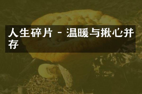 人生碎片 - 温暖与揪心并存