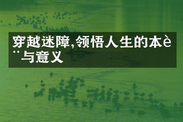 穿越迷障,领悟人生的本质与意义