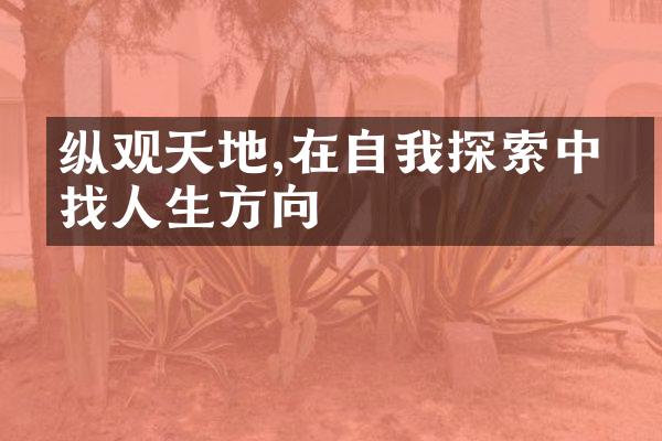 纵观天地,在自我探索中寻找人生方向