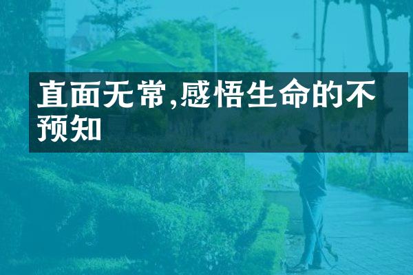 直面无常,感悟生命的不可预知
