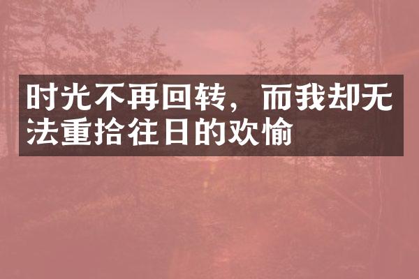 时光不再回转，而我却无法重拾往日的欢愉