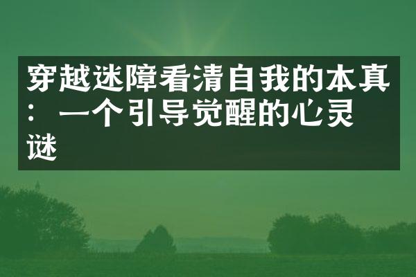 穿越迷障看清自我的本真：一个引导觉醒的心灵之谜