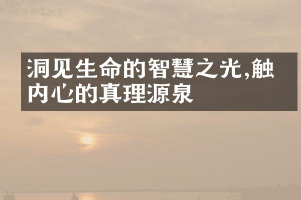洞见生命的智慧之光,触摸内心的真理源泉