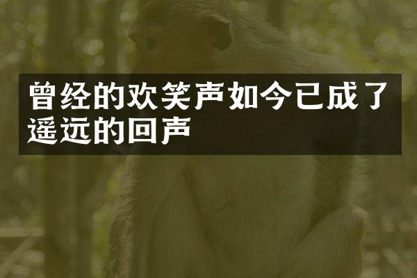 曾经的欢笑声如今已成了遥远的回声