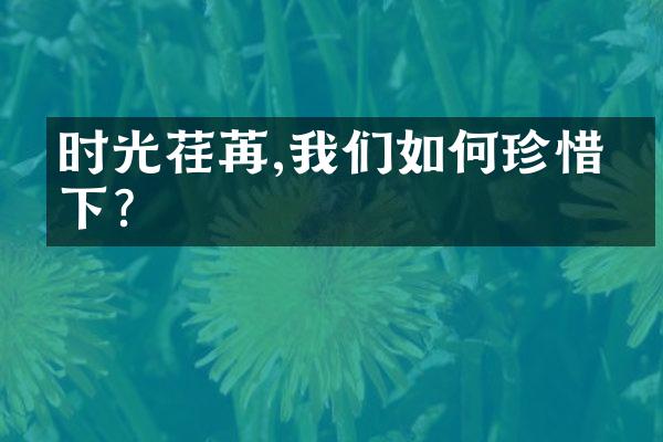 时光荏苒,我们如何珍惜当下?