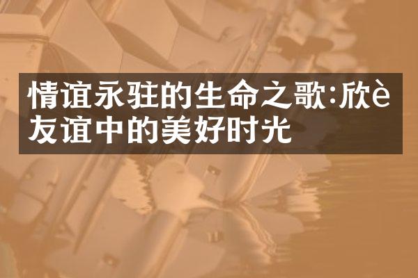 情谊永驻的生命之歌:欣赏友谊中的美好时光