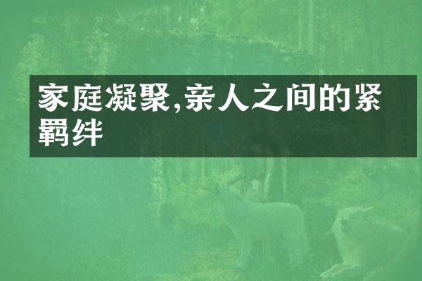 家庭凝聚,亲人之间的紧密羁绊