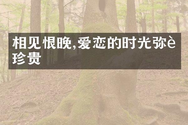 相见恨晚,爱恋的时光弥足珍贵