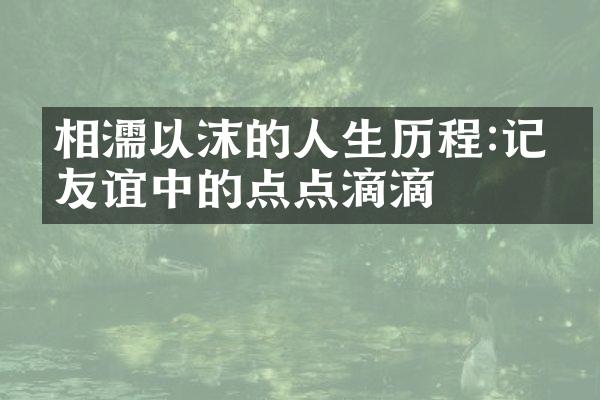 相濡以沫的人生:记录友谊中的点点滴滴