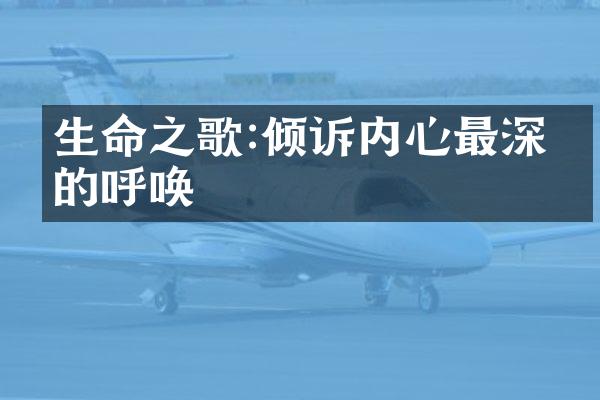 生命之歌:倾诉内心最深刻的呼唤