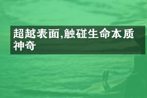 超越表面,触碰生命本质的神奇
