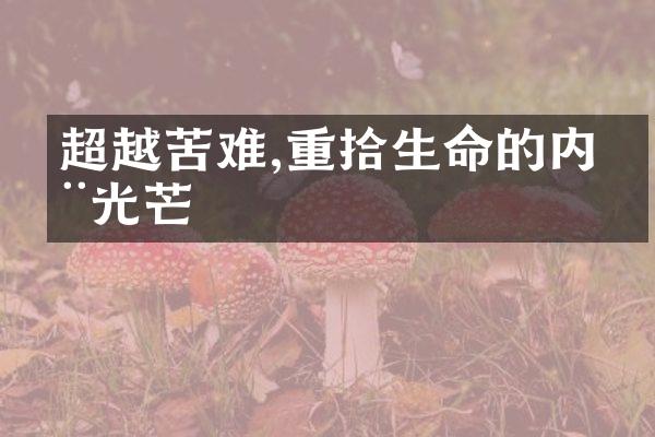 超越苦难,重拾生命的内在光芒