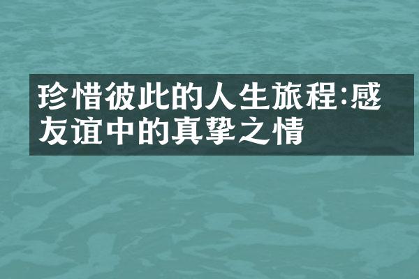 珍惜彼此的人生旅程:感悟友谊中的真挚之情