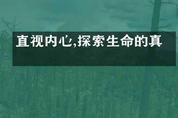 直视内心,探索生命的真理