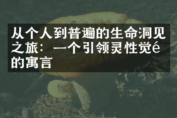 从个人到普遍的生命洞见之旅：一个引领灵性觉醒的寓言