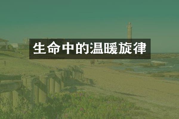 生命中的温暖旋律