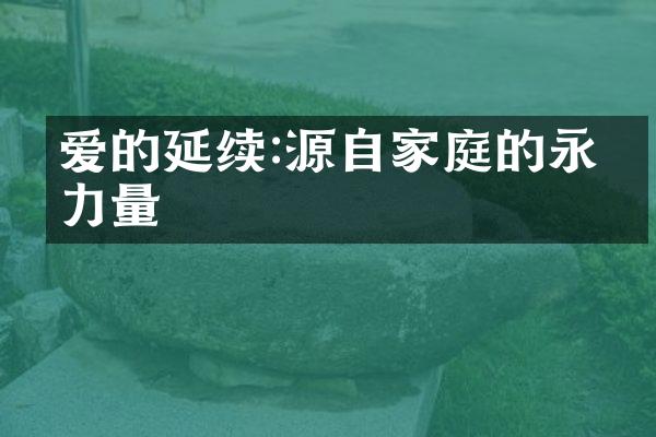 爱的延续:源自家庭的永恒力量