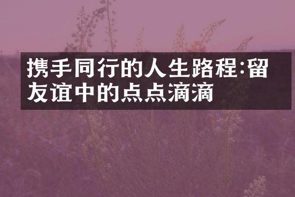 携手同行的人生路程:留下友谊中的点点滴滴
