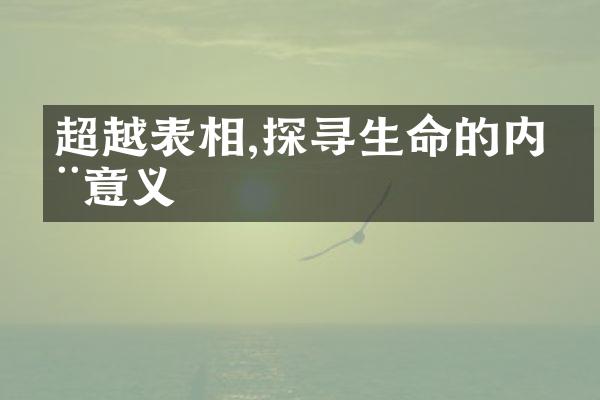 超越表相,探寻生命的内在意义