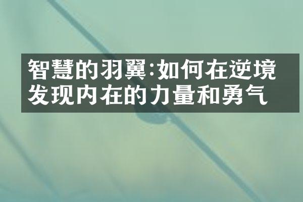 智慧的羽翼:如何在逆境中发现内在的力量和勇气