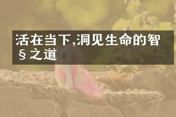 活在当下,洞见生命的智慧之道