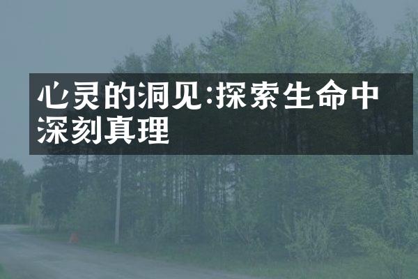 心灵的洞见:探索生命中的深刻真理