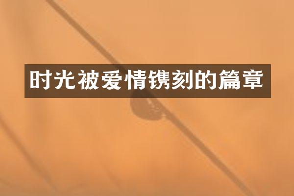 时光被爱情镌刻的篇章