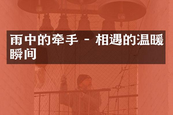 雨中的牵手 - 相遇的温暖瞬间