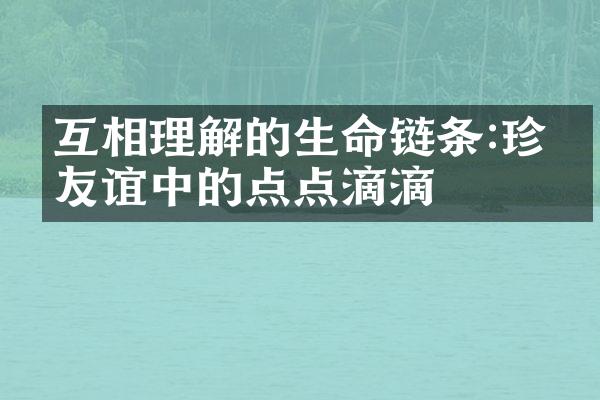 互相理解的生命链条:珍惜友谊中的点点滴滴