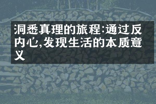 洞悉真理的旅程:通过反思内心,发现生活的本质意义