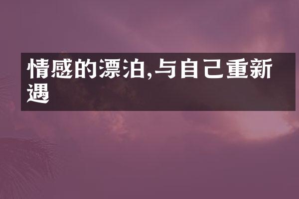 情感的漂泊,与自己重新相遇