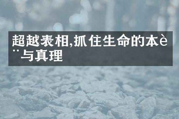 超越表相,抓住生命的本质与真理