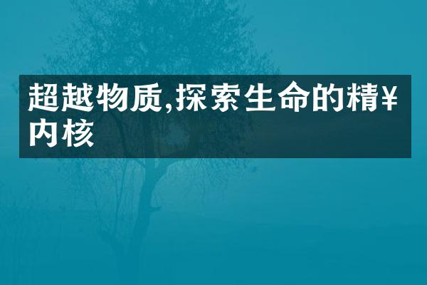 超越物质,探索生命的精神内核