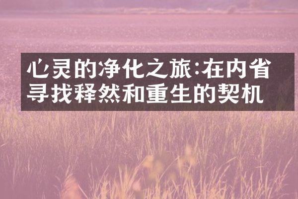心灵的净化之旅:在内中寻找释然和重生的契机