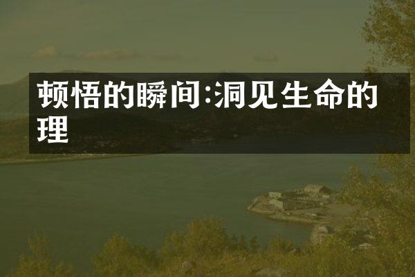 顿悟的瞬间:洞见生命的真理