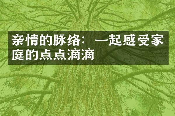 亲情的脉络：一起感受家庭的点点滴滴