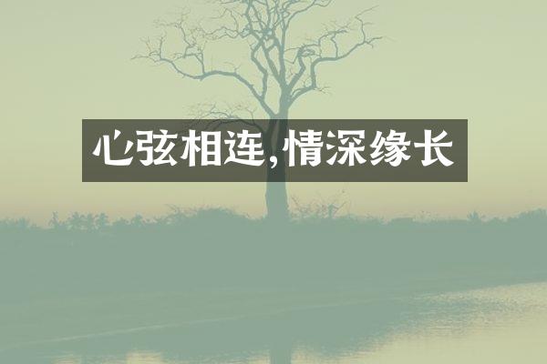 心弦相连,情深缘长