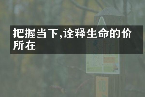 把握当下,诠释生命的价值所在