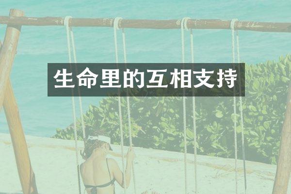 生命里的互相支持