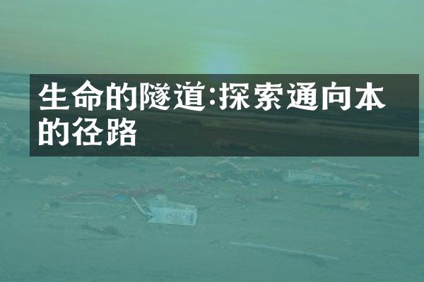 生命的隧道:探索通向本真的径路