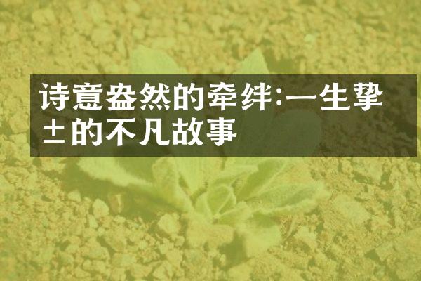 诗意盎然的牵绊:一生挚爱的不凡故事