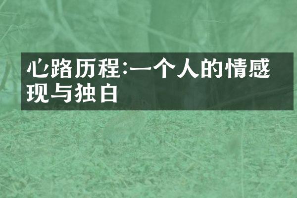 心路:一个人的情感呈现与独白