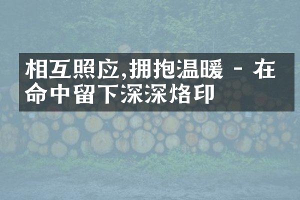 相互照应,拥抱温暖 - 在生命中留下深深烙印