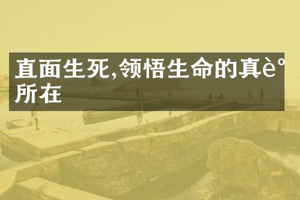 直面生死,领悟生命的真谛所在