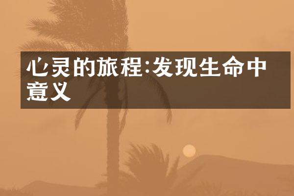 心灵的旅程:发现生命中的意义