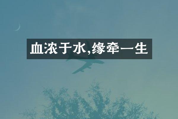 血浓于水,缘牵一生